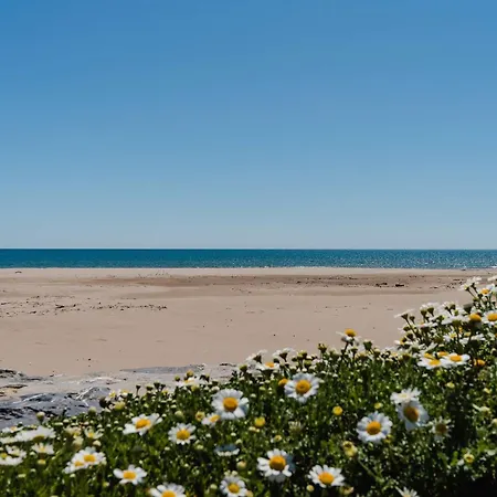 T4 Duplex 6 Pers, Balcon, Garage - - Fr-1-409-50 Narbonne-Plage